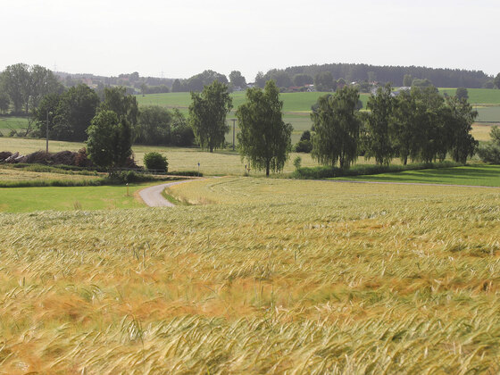 07 - Oberbayern