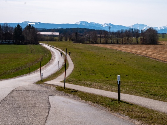 Die Straße von Holzkirchen nach Thann
