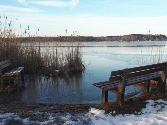 Winterspaziergang am Simssee