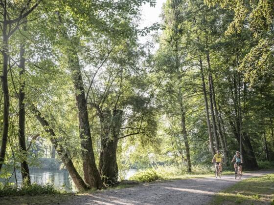 Radfahrer auf dem Isarradweg bei Moosburg