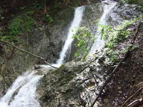 Der wilde Sulzbach