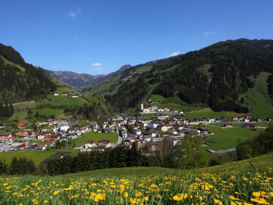 Blick auf Großarl