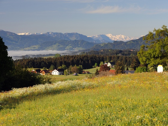 Aussicht auf die Nagelfluhkette
