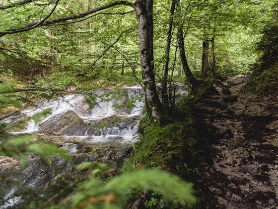 Samerberg, Duft - Fluderbach