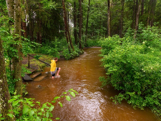 Natürliche Wassertretstelle an der Bewegungsinsel