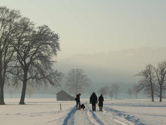 Winterspaziergang, Schlitten, Wanderer
