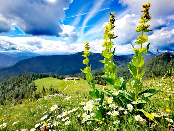 Blick Rabenkopf auf Staffelalm