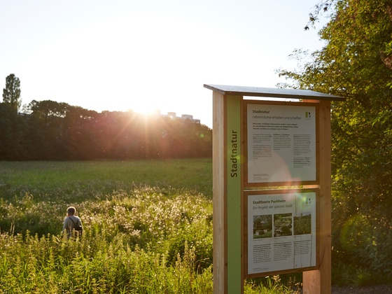 Ausgangspunkt des Stadtnaturpfades
