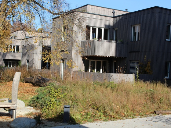 Holzbau in der Ökologische Mustersiedlung