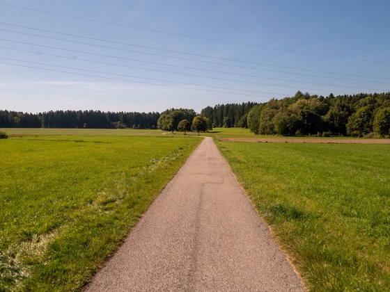 nette Weglein führen um Holzkirchen