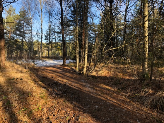 Mitten in der Kendlmühlfilzen
