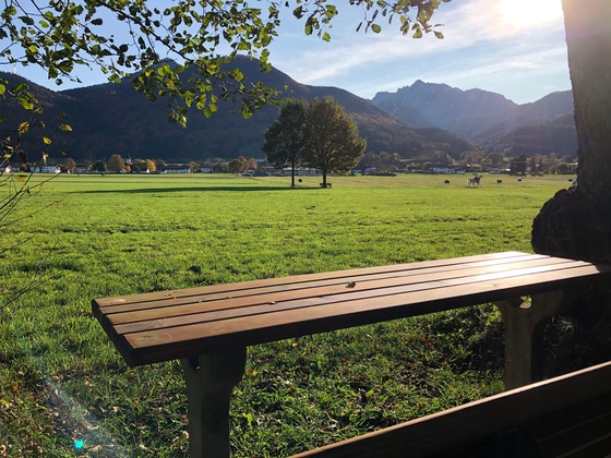 Picknickplatz am Waldtierweg Rottau