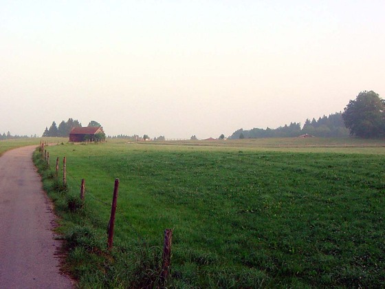 Blick über das Moor