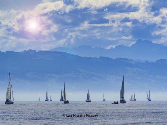 Segeln am Bodensee in Vorarlberg