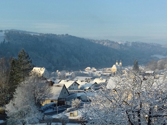 Winter im Donautal