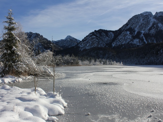 Am Nordufer des Schwansees