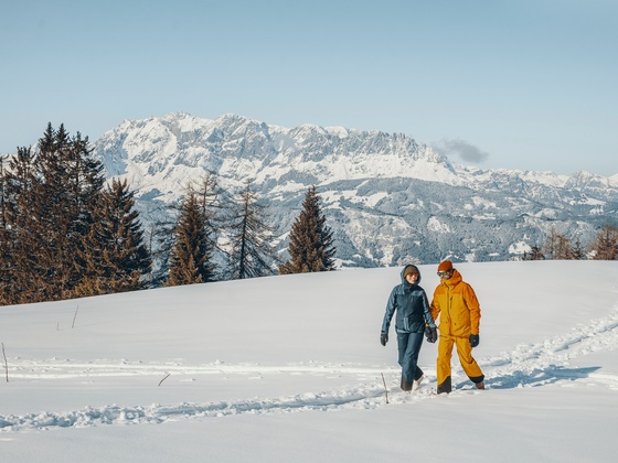 Winterwandern
