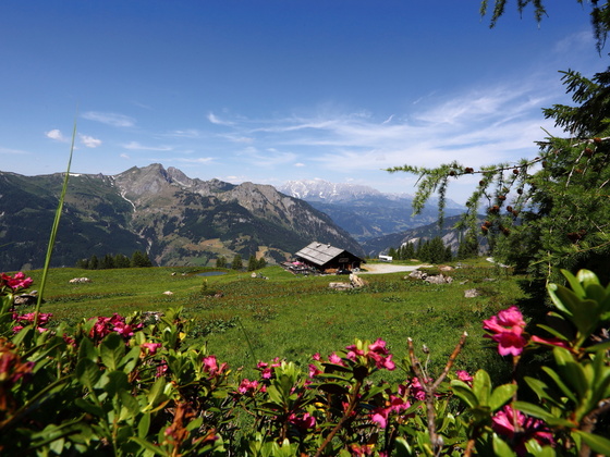 Saukaralm, 1.850 m