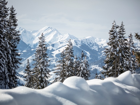 Winterlandschaft