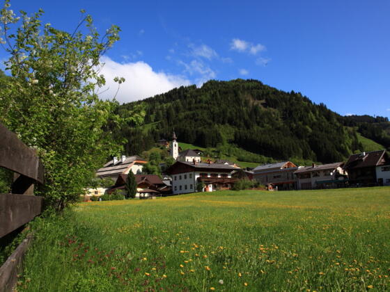 Großarl