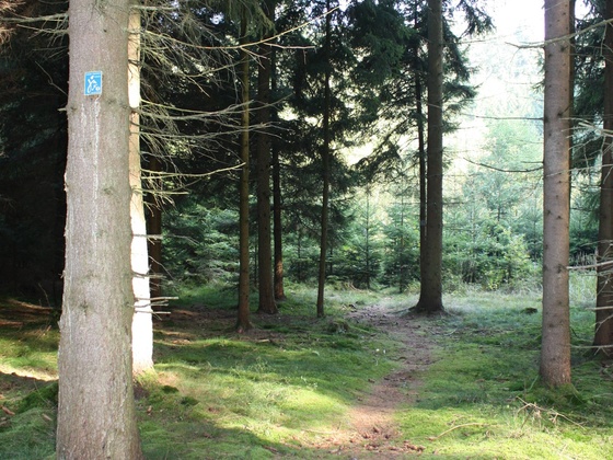 Unterwegs auf der Kaiser-Thermen-Schlaufe bei Bad Abbach