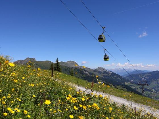 Panoramabahn