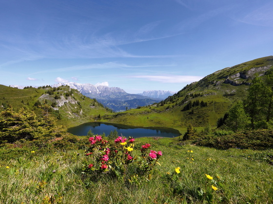 Paarseen