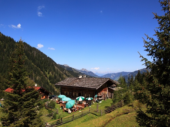 Bachalm, 1.535 m