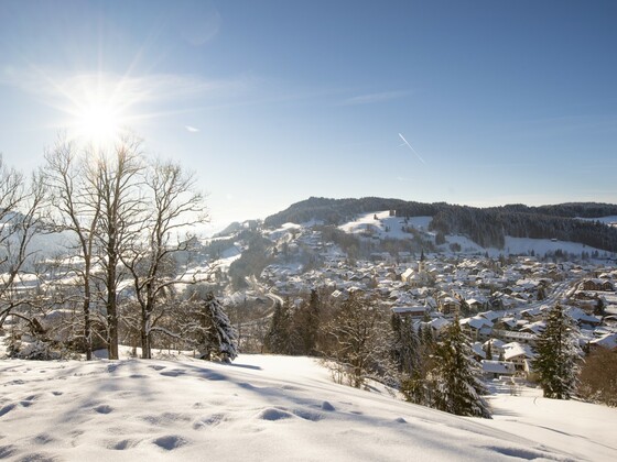 Ausblick vom Staufen auf den Ort