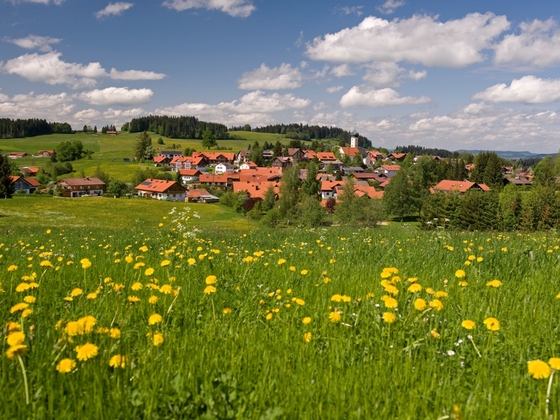Oberreute