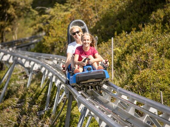 Alpbachtaler Lauser Sauser