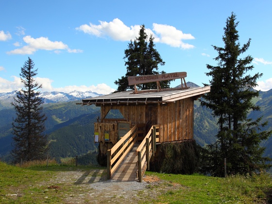Wilderer Platzl