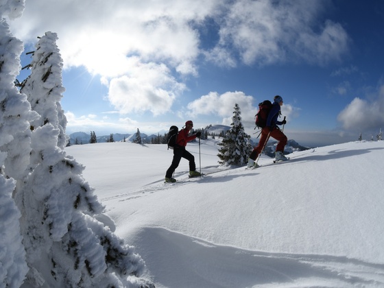 Am Vorgipfel des Hirschbergs. Auf den Übergang zum Hauptgipfel sollte man aus Wildschutzgründen besser verzichten.