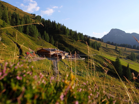 Loosbühelalm