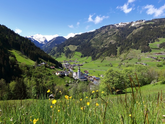 Aussicht auf Großarl