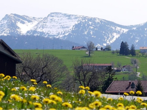 Ausblick