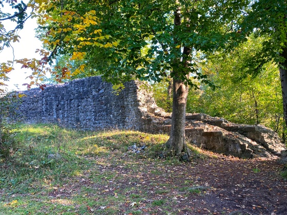 Ruine Sigberg, Göfis