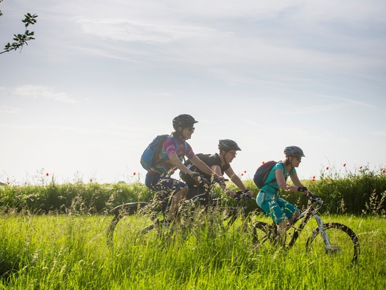 Radeln auf dem Bäderradweg