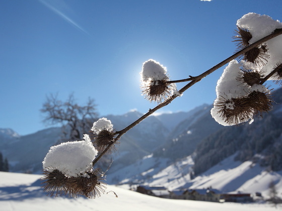 Winterlandschaft