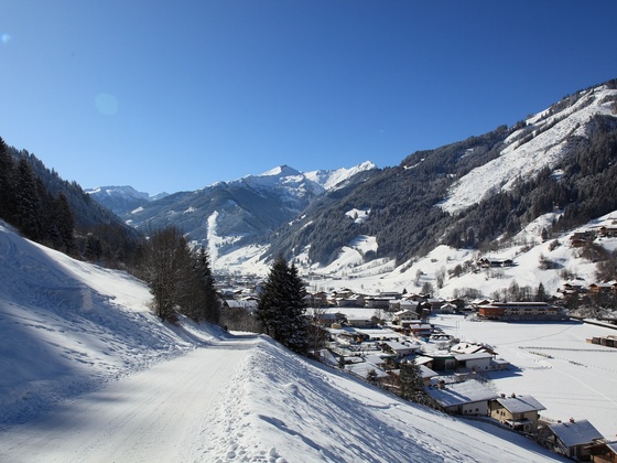 Aussicht auf Großarl