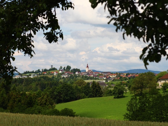 Weinberg-Runde