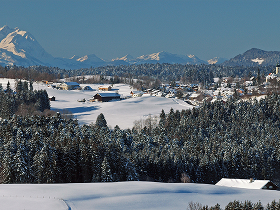 Blick auf Oberreute