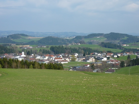 Ausblick_Steiningerhöhe_(10)