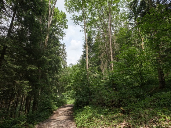 Rannatalweg