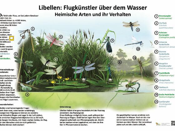 Amphibien- und Fischereilehrpfad