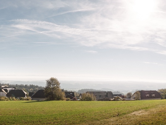 Pfarrkirchen (3)