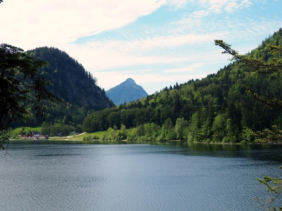 Schwarzensee 716m