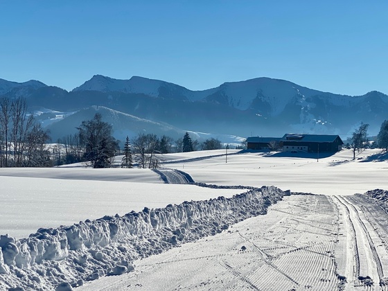 Langlaufloipe Stiefenhofen mit Blick zum Hochgrat