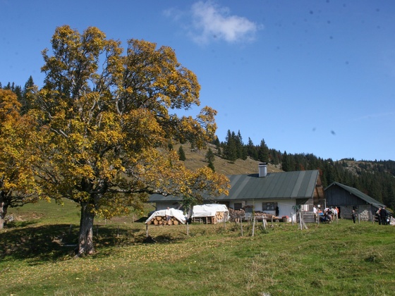 Hofbauernalm