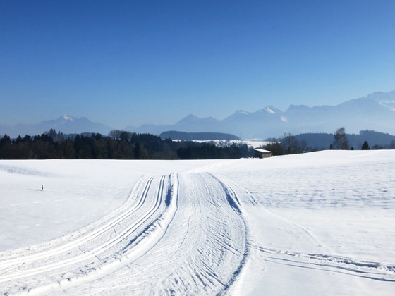 Loipe Prien/Atzing